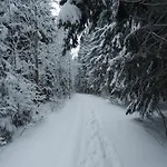 Parque de vacaciones A Apollo Na Vysočině *