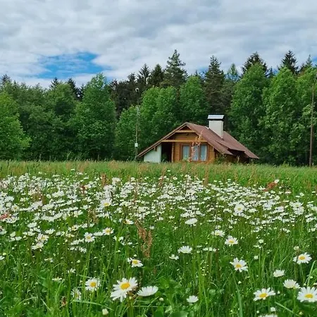 Chatky A Apartmany Apollo Na Vysocine * Nove Mesto na Morave