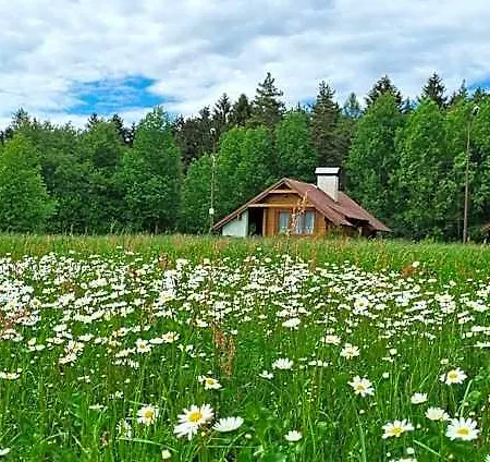 A Apollo Na Vysočině Nove Mesto na Morave
