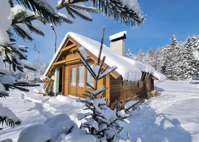 Semesterpark Chatky A Apartmany Apollo Na Vysocine Nove Mesto na Morave