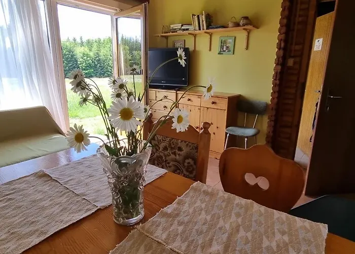 Chatky A Apartmany Apollo Na Vysocine