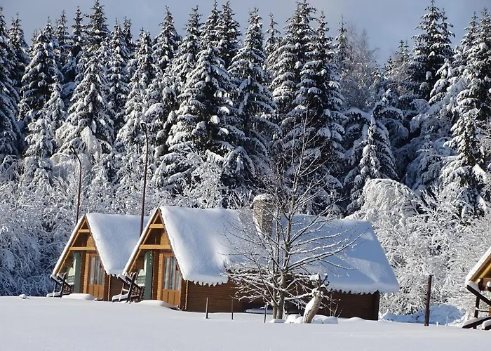 Semesterpark Chatky A Apartmany Apollo Na Vysocine